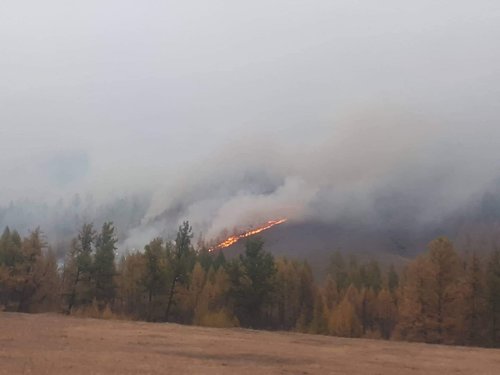Завханд гарсан ойн түмэр Орос руу тархжээ